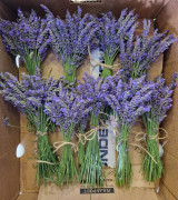 518054639_1031874425819402_6871857252902659203_n.j